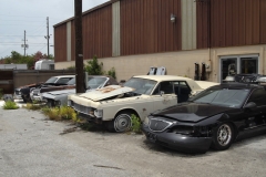 dunns_may3473