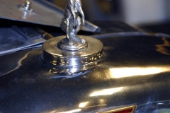 tampabayautomuseum_may3518