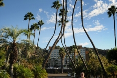 jmw_6569