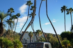 jmw_6575